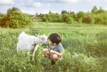 A Little Boy Wearing  Stripped Vest Squats   Talks To  Goat On A Lawn On A Farm They Look At Each Other Attentively.