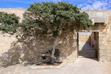 Wall Mural - Eingang zum Festung Es Forti