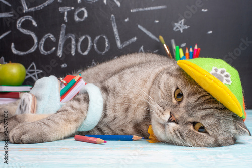 british schoolboy cap