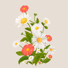 Canvas Print - Mixed Daisy flowers