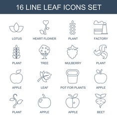 Wall Mural - 16 leaf icons