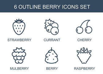 Wall Mural - berry icons