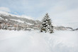 St. Moritz, St. Moritzersee, Corviglia, Oberengadin, Winter, Wintersport, Winterwanderweg, Winterlandschaft, Alpen, Graubünden, Schweiz