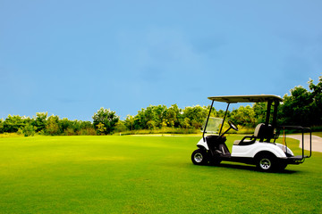 Wall Mural - Golf cart car in fairway of golf course with fresh green grass field and cloud blue sky and tree