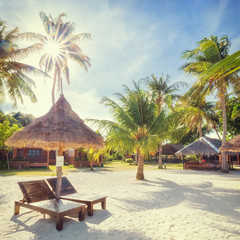 Sticker - Empty sunny Koh Lipe Beach with tall palms and beach bungalows