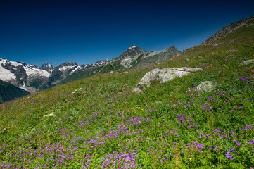 Beautiful view of alpine meadows in the Caucasus mountains.