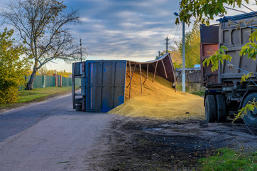 Wheat accident Russian trucker