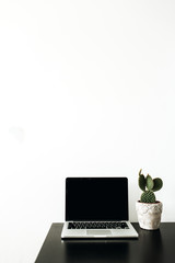 Minimal home office workspace. Laptop with mockup screen and succulent in flowerpot on white background. Blogger / freelancer business concept.