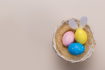 Colorfull easter eggs in nest on pastel color background with space. Concept