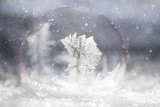 Fototapeta Panele - gefrorene Seifenblase im Schnee