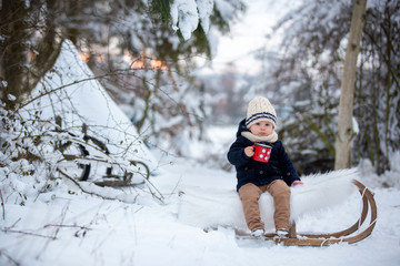 Sweet siblings, children having winter party in snowy forest.  Young brothers, boys, drinking tea from thermos. Hot drinks and beverage in cold weather