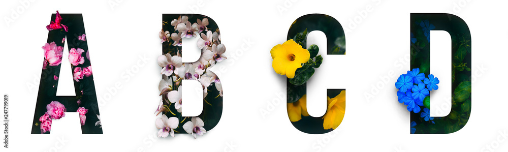Flower font Alphabet a, b, c, d made of Real alive flowers with Precious paper cut shape of letter. Collection of brilliant flora font for your unique decoration in spring, summer & many concept  - obrazy, fototapety, plakaty 