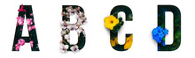 Flower Font Alphabet A, B, C, D Made Of Real Alive Flowers With Precious Paper Cut Shape Of Letter. Collection Of Brilliant Flora Font For Your Unique Decoration In Spring, Summer & Many Concept 