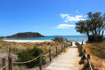 Tauranga Beach - New Zealand