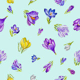 Fototapeta Motyle - Watercolor floral pattern with spring crocuses.