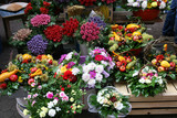 Fototapeta Kwiaty - Zagreb flower market