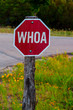 Old funny red road sign in Texas with Whoa instead of Stop