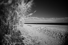 Black And White Infrared Photography