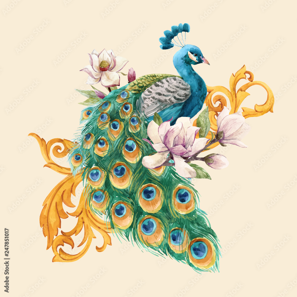 Watercolor peacock vector illustration - obrazy, fototapety, plakaty 