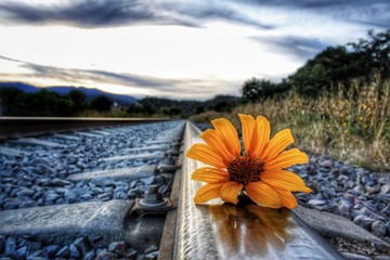 Buscando un sol en un atardecer 