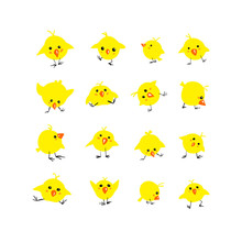 Set Of 16 Vector Yellow Chicks On White Background