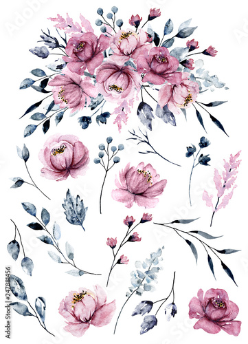 Watercolor pink flowers set, botanical hand painting, isolated on white backg...