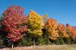 Fall Colors 1
