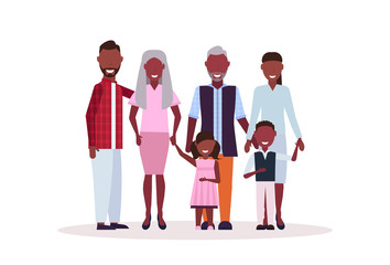 Wall Mural - multi generation family standing together happy african american grandparents parents and children male female cartoon characters full length flat isolated horizontal