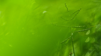  nature macro photography. namely the art of taking pictures according to existing circumstances