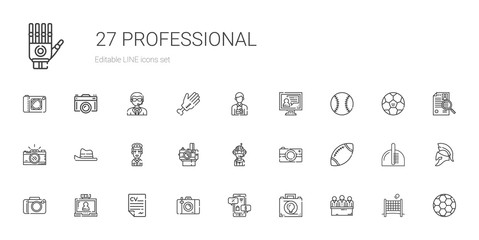 Wall Mural - professional icons set