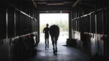 Young Jockey Walking With A Horse Out Of A Stable. Man Leading Equine Out Of Barn. Male Silhouette With Stallion. Rear Back View. Love For Animal. Beautiful Background
