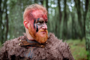 Wall Mural - Real viking with many trees around