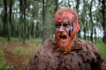 Wall Mural - Real viking with many trees around