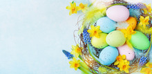 Colorful Easter Eggs In Nest And Spring Flowers On Rustic Table Top View. Holiday Card Or Banner.