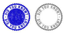 Grunge DID YOU KNOW? Stamp Seals Isolated On A White Background. Rosette Seals With Grunge Texture In Blue And Gray Colors. Vector Rubber Stamp Imprint Of DID YOU KNOW? Label Inside Round Rosette.