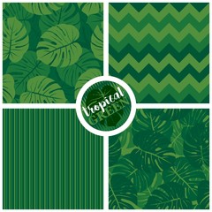 tropical green graphic exotic seamless pattern set with green monstera leaves on light and dark green background