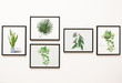 © Rawpixel.com - Collection of leaves framed on a wall