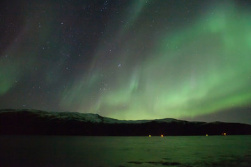 northern lights in norway in green, blue and violet colours and mountains in the distance