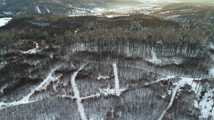 Aerial view of a snowy dark forest during sunset.