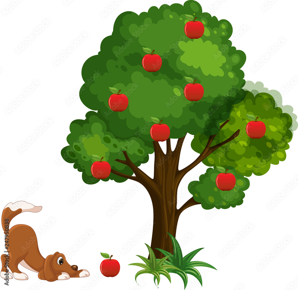 cartoon dog sniffing a red apple fallen from a tree on a white background  Stock Vector | Adobe Stock, image size:1000x973