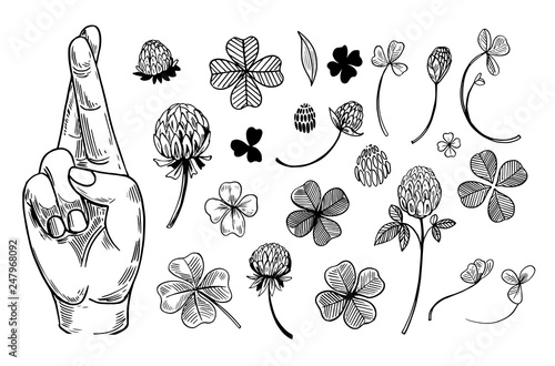 Fotomural Crossed fingers and a four-leaf clover set