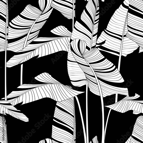 Stoffe zum Nähen Seamless banana leaf pattern background. Black and white with drawing line art illustration. Black background.
