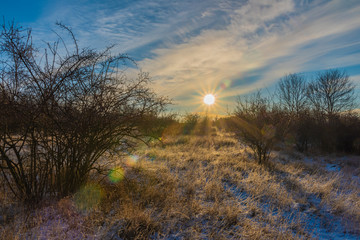 Wall Mural - Sunrise on Boren hill near Bilina town in winter frosty morning with pine tree