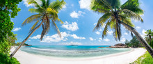 Tropischer Palmenstrand In Der Südsee Mit Blick Aufs Meer