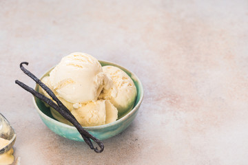 Vanilla Bean Ice Cream. Vanilla ice cream in bowl with  vanilla pods, selective focus, copy space