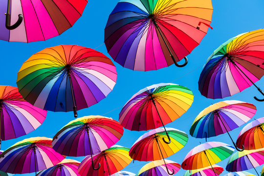 many colorful umbrellas. rainbow gay pride protection