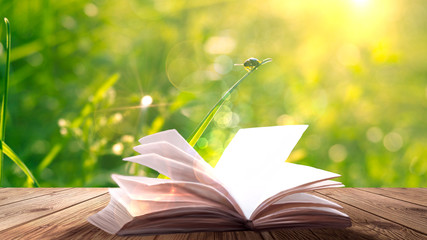 Open book on the wooden table, green summer grass background.