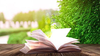 Wall Mural - Open book on the wooden table, green summer grass background.