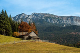Fototapeta Krajobraz - Transylvania landscape in autumn time, Romania the Carpathian garden 