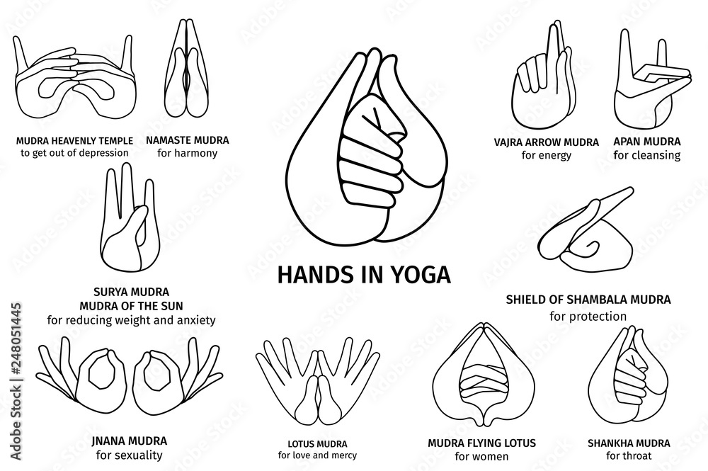 Vector Illustration of various gestures of hands contours in meditation, on a white background. Hand drawn drawn set of different wise for banner design. Hands in yoga, gestures for health and energy - obrazy, fototapety, plakaty 